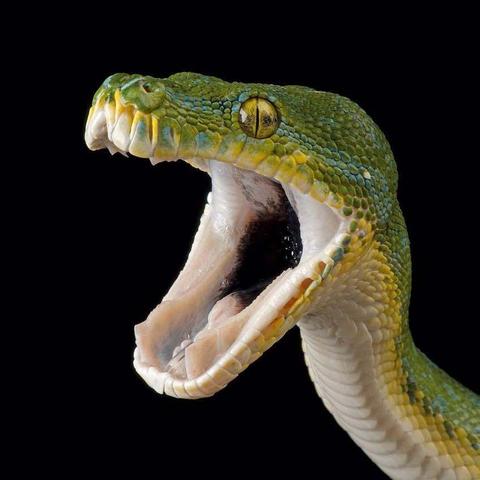 命理学里的神煞是什么(命理学里的神煞是什么意思)