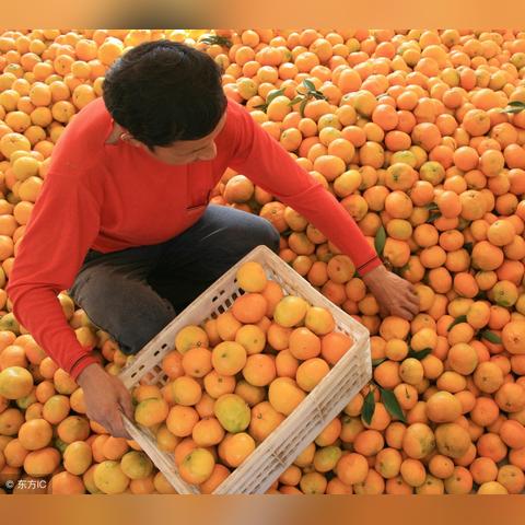 南宁市武鸣区天气怎么样的相关长尾关键词有哪些