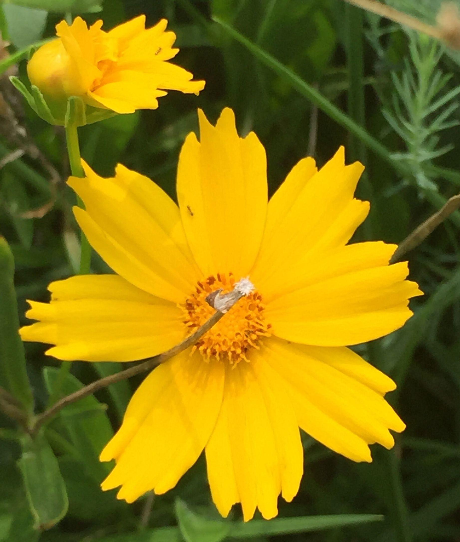 梦境中的重逢，与已故外公的心灵对话