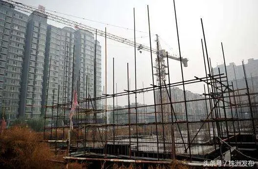 垫付费用单模板 不垫付费用