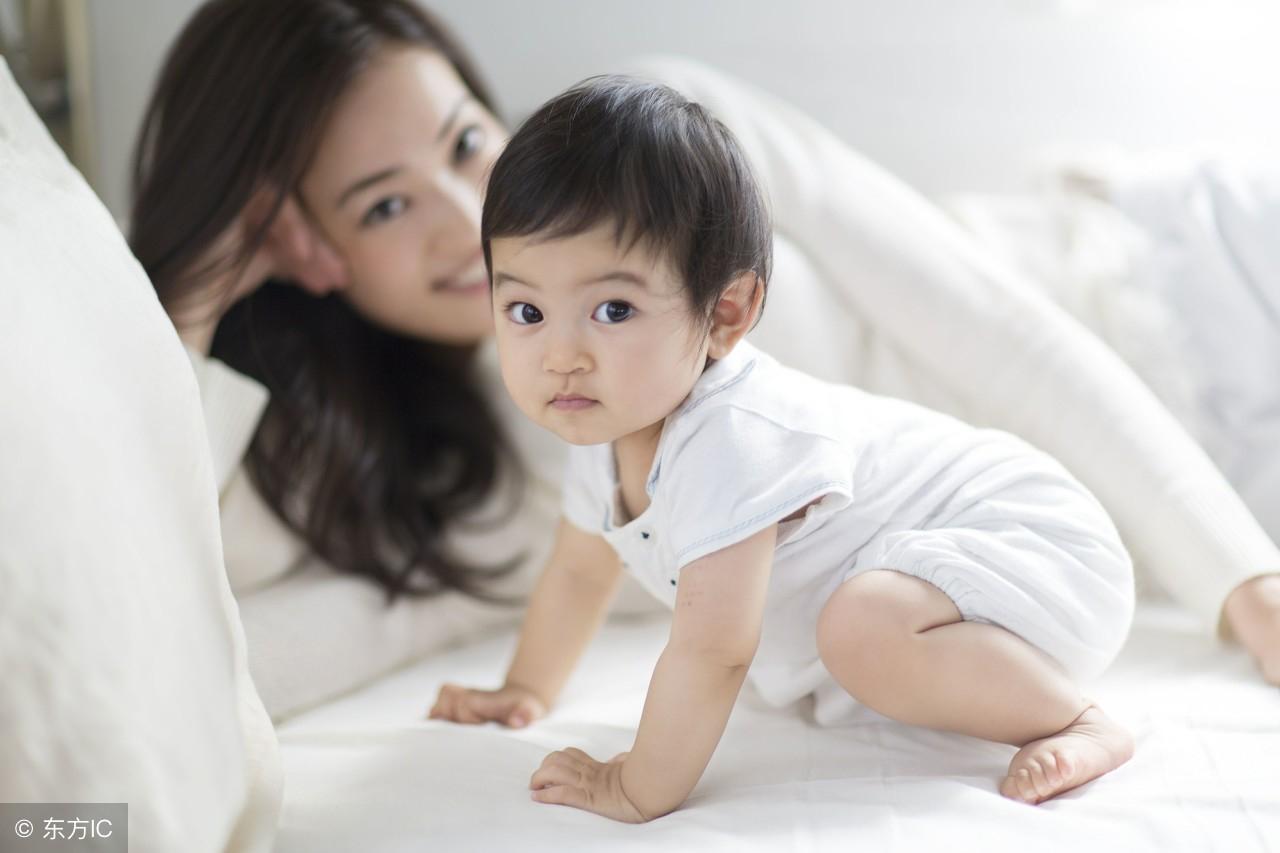 梦见柿子，寓意丰收与甜蜜的预兆