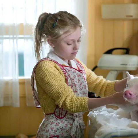 有哪些英语电影读物