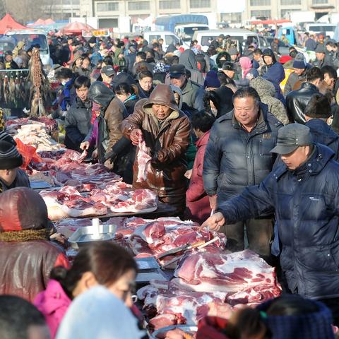 沈阳市属哪个市管