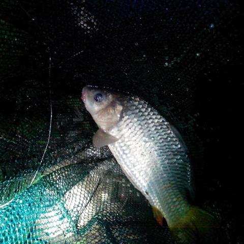 手感像广州相关长尾关键词有哪些