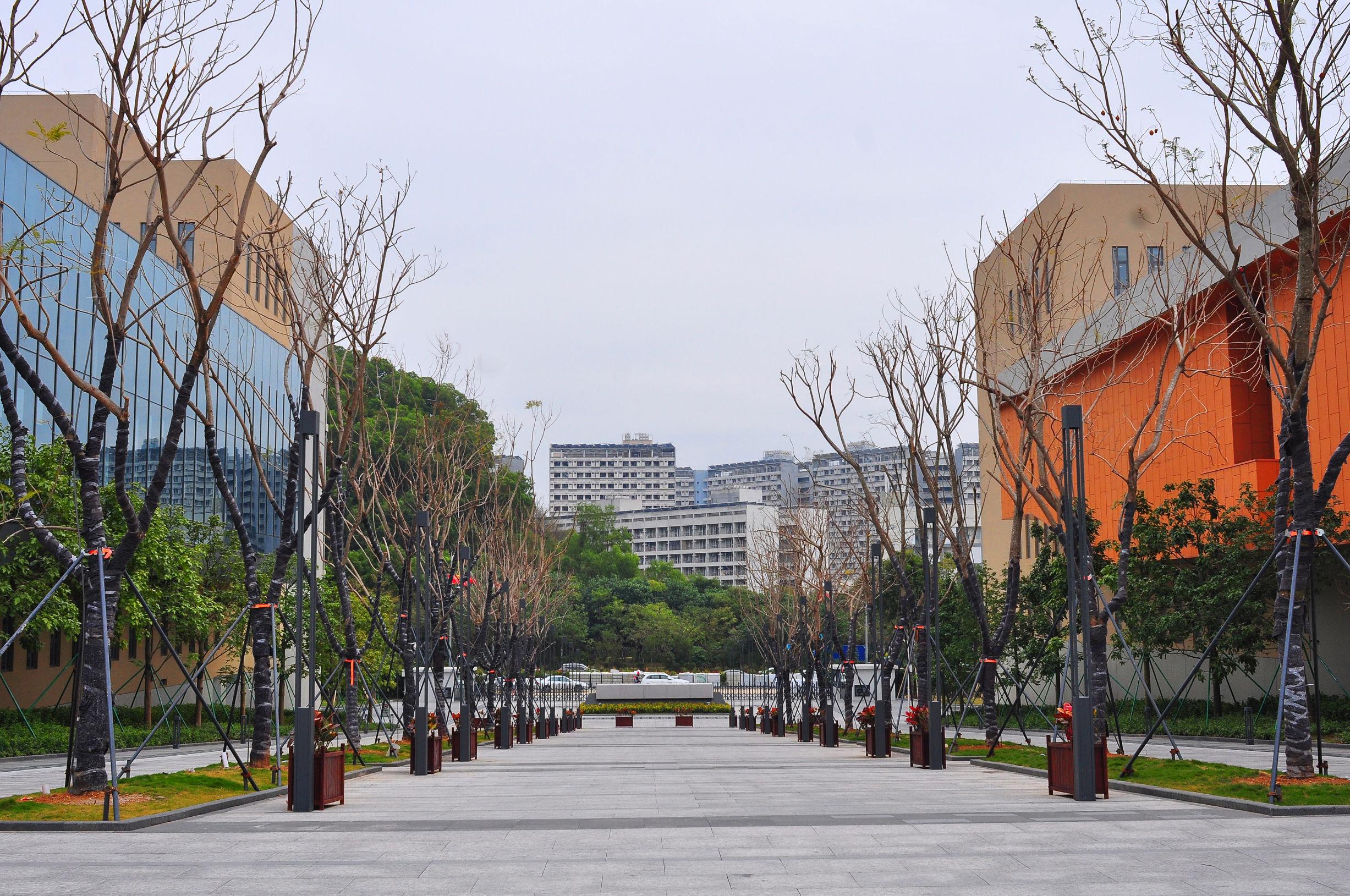 深圳市龙岗职业技术学校(龙岗职业技术学校可以升大专吗)