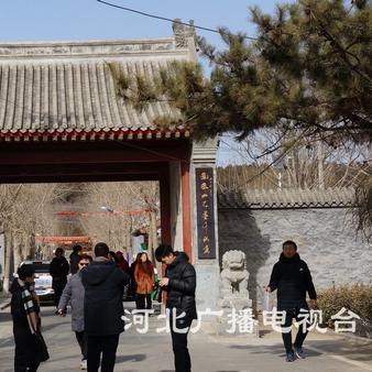 保定市各年出生人口多少