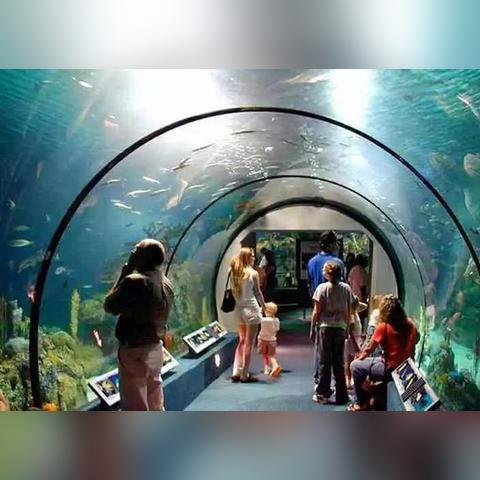 临沂市海底世界怎么走