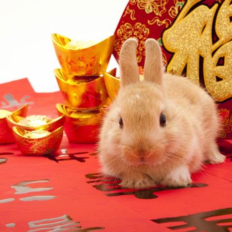 三大生肖明年运势如何呢(明年 生肖)