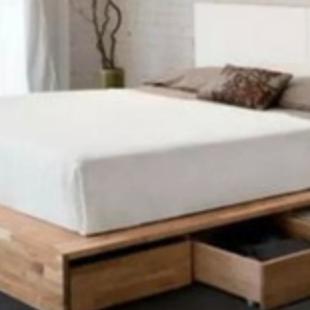 生肖老鼠的人今年的运势(属老鼠的人今年运势怎么样)