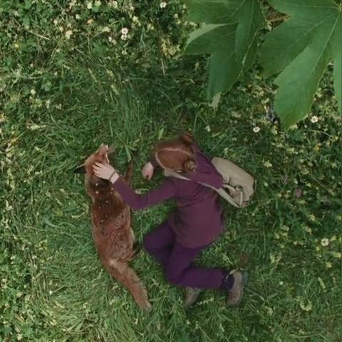 关于上海luc相关关键词有哪些