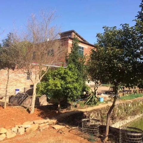 有什么地方划入广州市