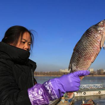 哈尔滨夫妻打鱼自助相关长尾关键词有哪些