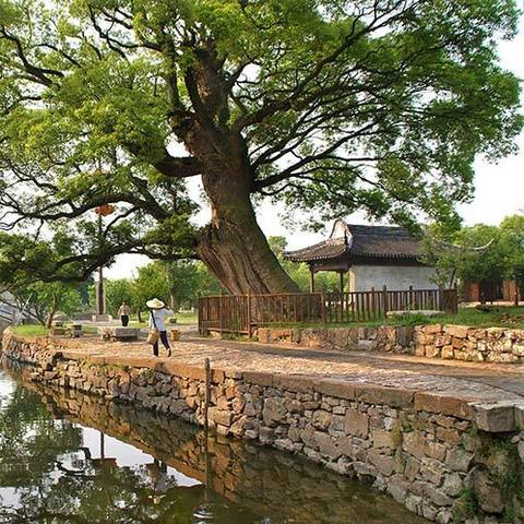 苏州市有什么县城