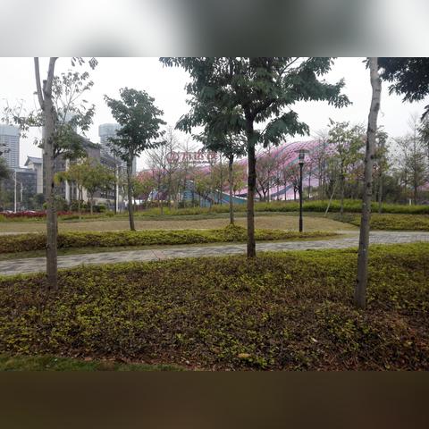 桂林市有哪些主题乐园