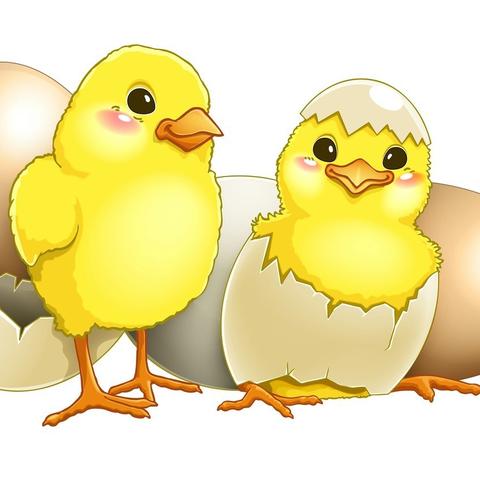 天乙贵人是什么(天乙贵人是什么意思)