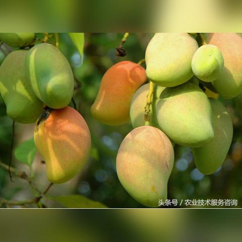 福建气候跟广东一样湿热吗？