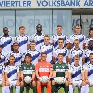 怎么踢足球作文