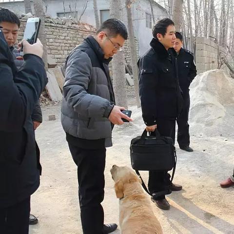 济南市平阴县属于哪里管