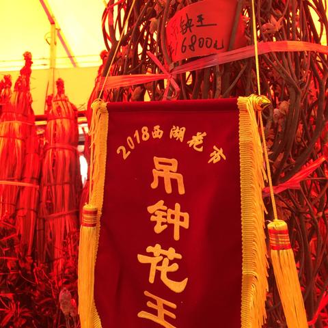 广州花市什么时候开始？