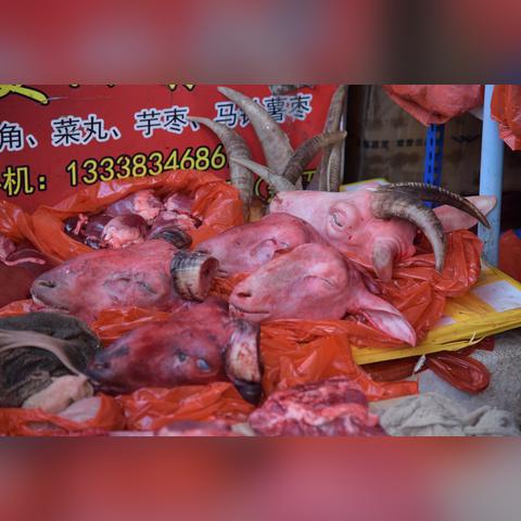 厦门市烤羊头哪里有卖