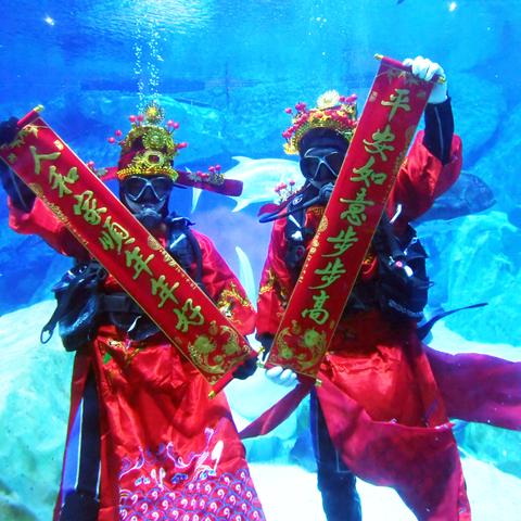 成都市区滑梯名宿有哪些