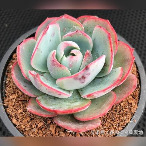 气温回升 家里潮湿的长尾关键词有哪些