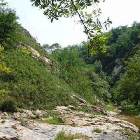 临沂市眼罩专利的长尾关键词有哪些