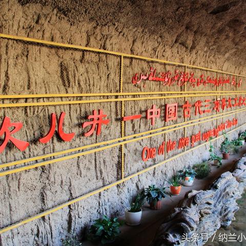 哈尔滨纯城市人口多少？