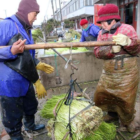 金沙离南通市多少里路程