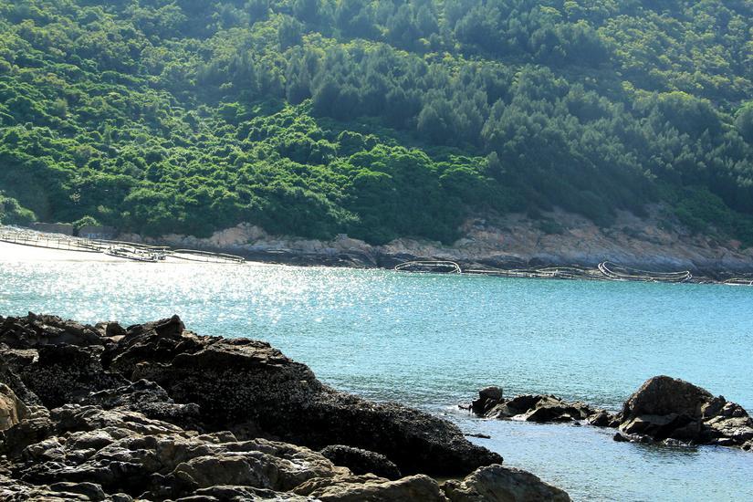 周公解梦，梦中捉鱼的深层寓意与心理解析