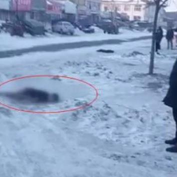 哈尔滨两天一夜怎么玩相关长尾关键词有哪些