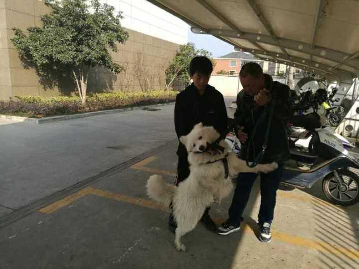 女宝宝起名姓邹怎么起名(谁能解释下我名字的含义我叫邹永峰)