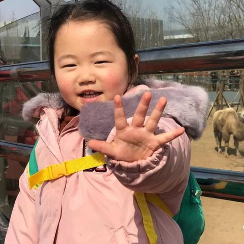 桂林市抓娃娃的地方在哪里