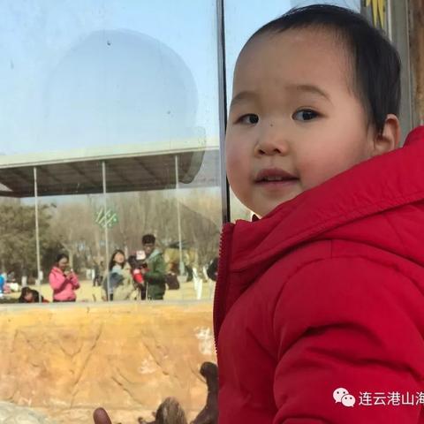 临沂市的美团外卖怎么样