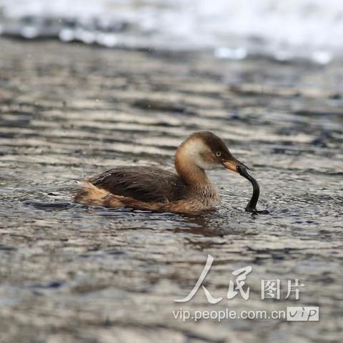 沈阳26日的天气怎么样
