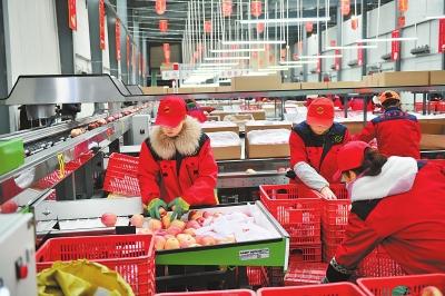 饲料工业文献综述的范文美加乐的叶黄素好么