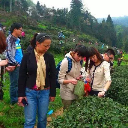 河南九华山在什么位置