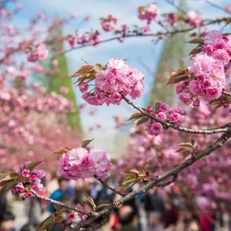 合肥樱舞舞蹈工作室相关长尾关键词有哪些