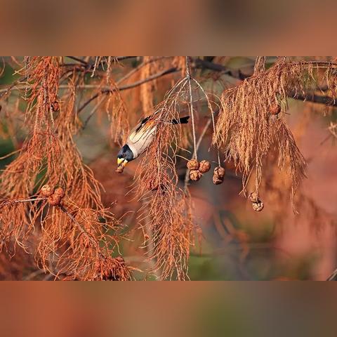 宁波 镇海 户口的长尾关键词有什么