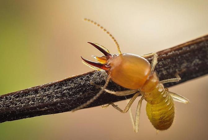 【绍兴新增确诊37例
 /绍兴新增确诊37例是哪里的】