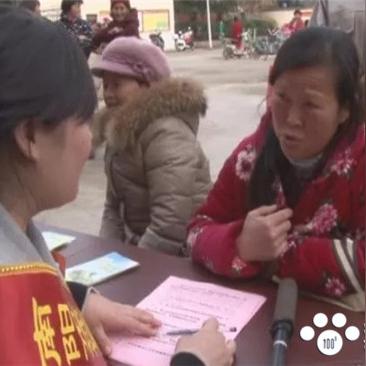 河南南阳的女儿出嫁有哪些习俗，彩礼多少钱，谢谢？