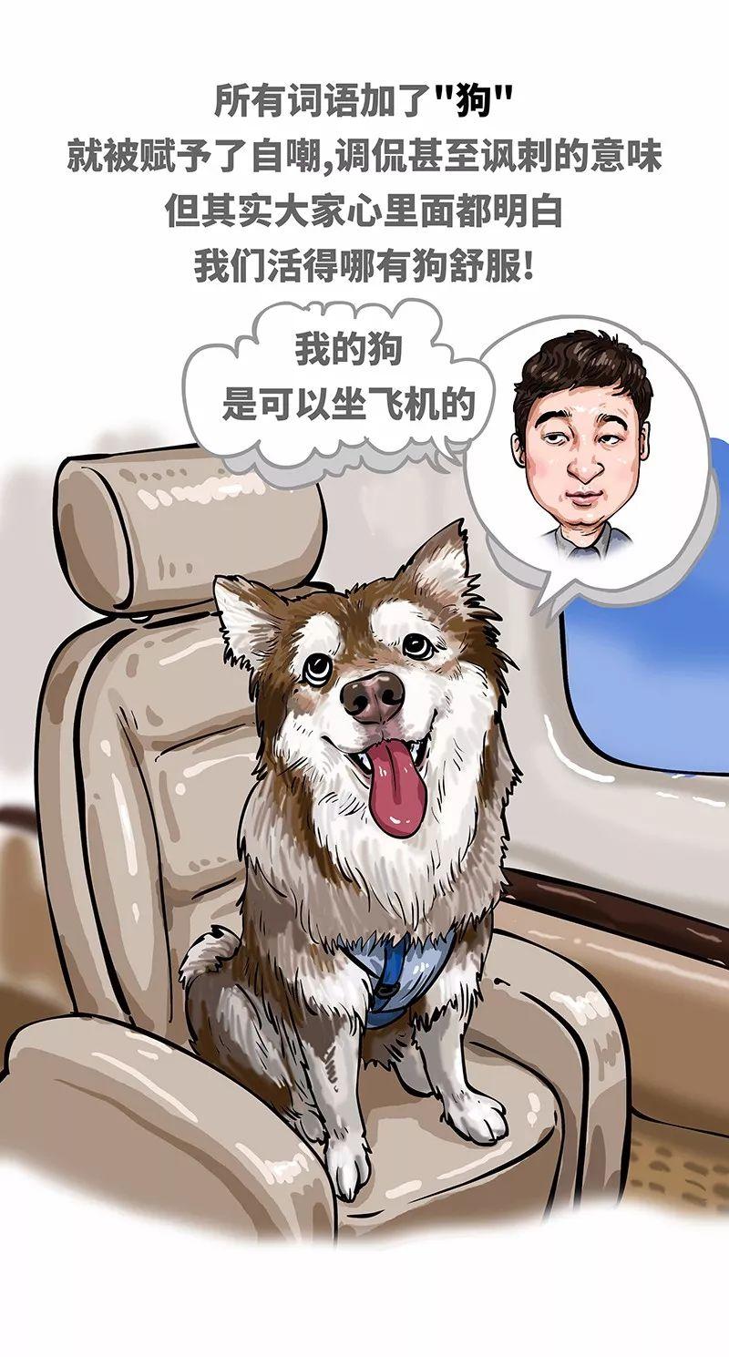 狗年男宝宝起名姓董怎么取(小饭店因为选址较偏没有生意应该怎么办)