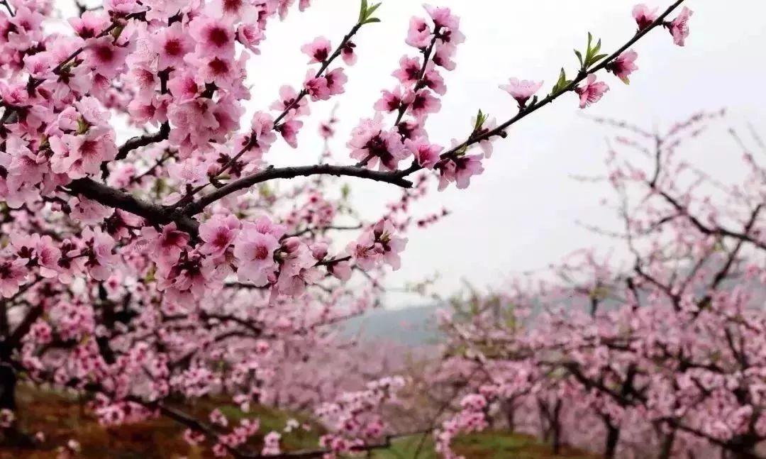 富阳有什么美食（什么是你去了杭州才知道的）