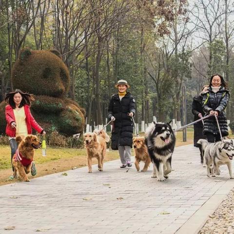 成都市地铁二号线西段的长尾关键词有哪些