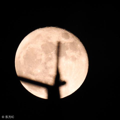 七杀格男命长相特点(七杀格男命好不好)