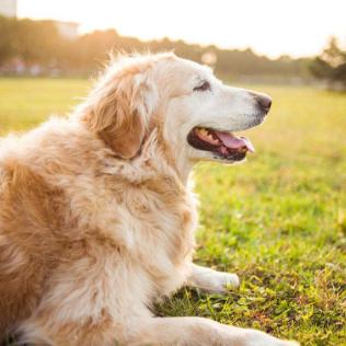 五行少金不用慌，这样做财运旺起来