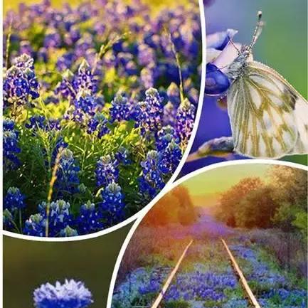 广州蓝调时光相关长尾关键词有哪些