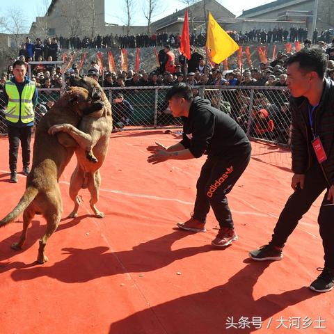 山西女裁判足球比赛视频的长尾关键词有哪些