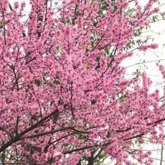 成都市区周末去哪里