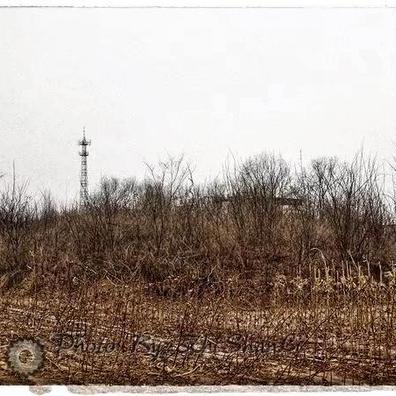 邯郸市哪有酸枣摘的长尾关键词有哪些